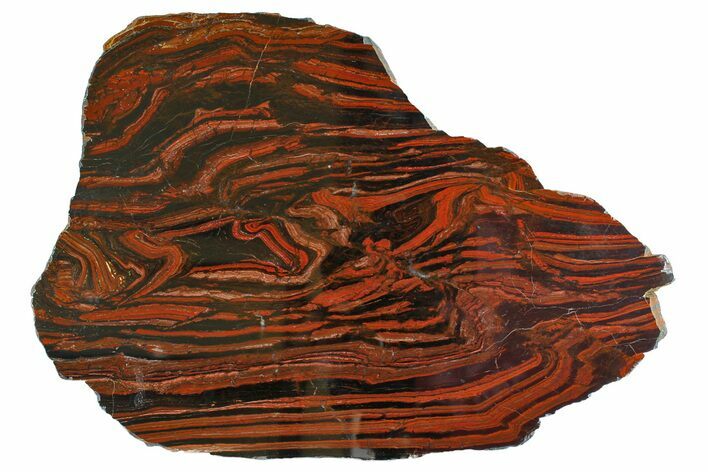 Polished Tiger Iron Stromatolite - Billion Years #158140